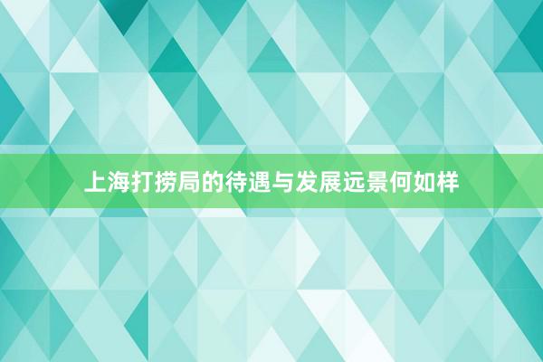上海打捞局的待遇与发展远景何如样