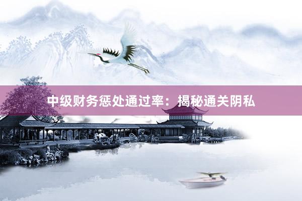中级财务惩处通过率：揭秘通关阴私